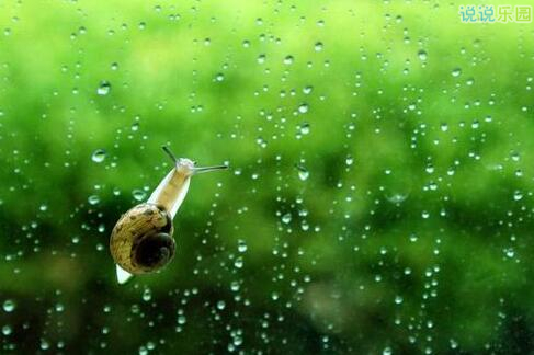 喜欢下雨的个性说说