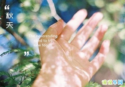 秋天唯美文案句子 朋友圈秋天唯美句子