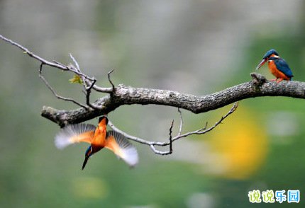 清明节早安说说 清明节暖心早安问候语