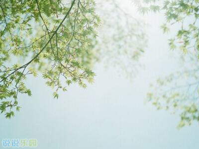暖心的话。暖心的说说。暖心的句子说说心情