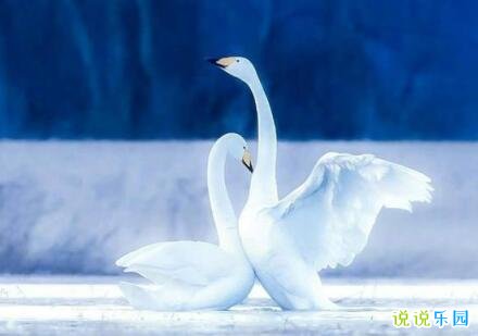 表达下雪后的心情 感受雪景的心情短语