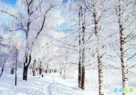 关于大寒的祝福语 2020大寒的祝福语发朋友圈