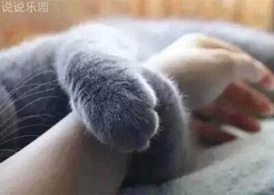 个性文字控说说