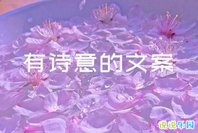 有诗意的文案短句 有诗意的朋友圈文案