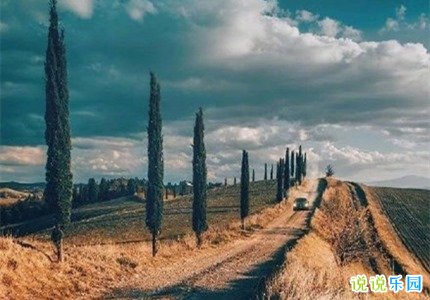 一直在拼搏路上的说说 致一路拼搏的自己说说