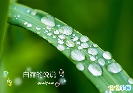关于白露的说说 适合白露发的说说句子