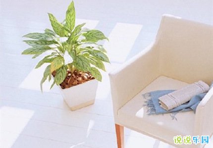 早晨的心情说说 早晨的说说唯美句子