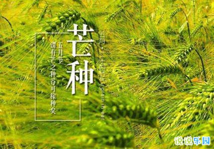 2020芒种的朋友圈说说 适合芒种发的朋友圈