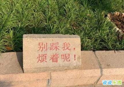 奇葩搞笑句子 奇葩搞笑说说朋友圈