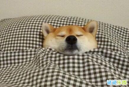 那些让你笑死的朋友圈 史上最搞笑的朋友圈