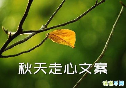 秋天走心文案 秋天的短句朋友圈说说