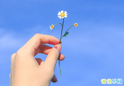 微信置顶文案温柔 微信置顶语文案2020