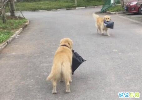 抖音个人简介搞笑 抖音个性自我介绍