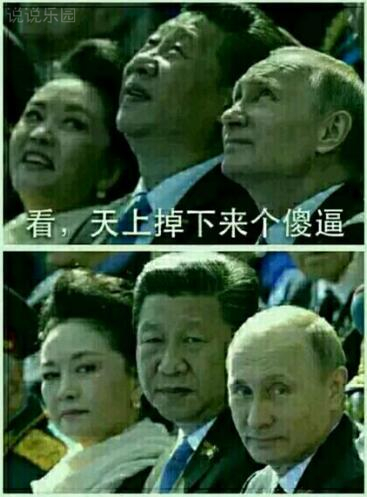 一句话搞笑说说。搞笑的一句话说说