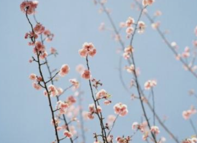 写给无法在一起的人的说说